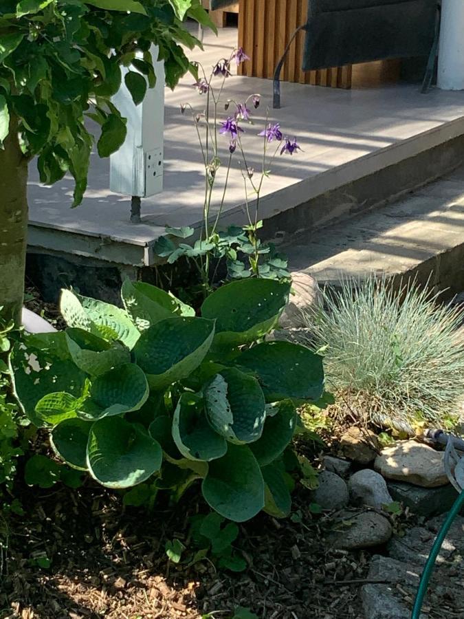 Haus 16 Ferienhaus Zwischen Salzburg Chiemsee Und Waging Am See Kirchanschoring 외부 사진